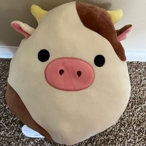 Ronnie/ Rosie Flip Squishmallow